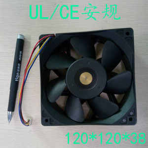 12038高风量蘑菇视频在线观看